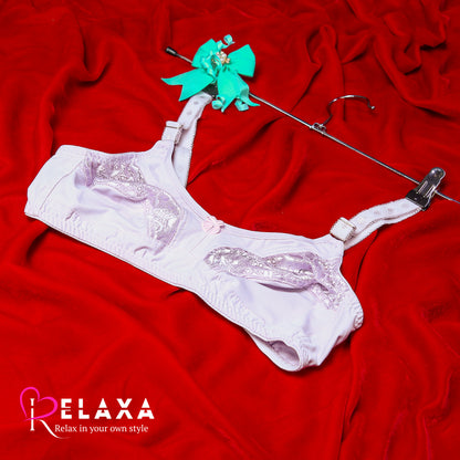 Daily wear Net lace Bra