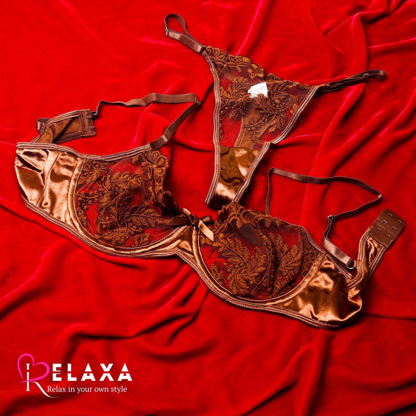 Net Bra Set With Pure Silk